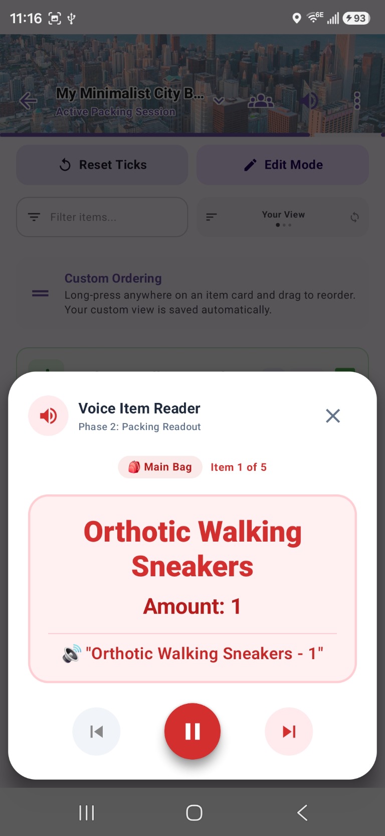 Voice item reader